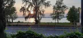 Balatonra panoramas fahaz stranddal szemben